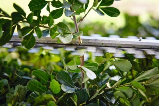 Stihl HSA 40 hekksaks - med batteri og lader - Bilde 7